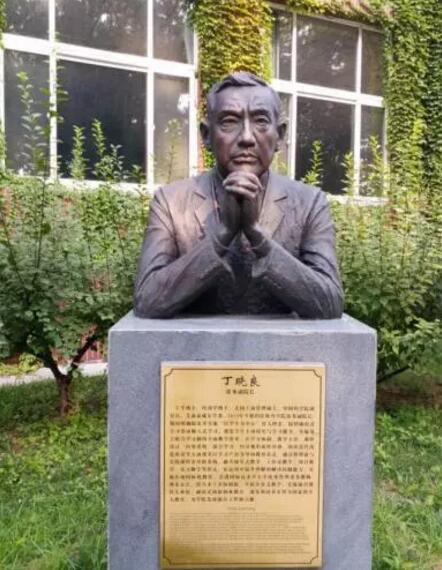 澳港宝典免费资料大全
