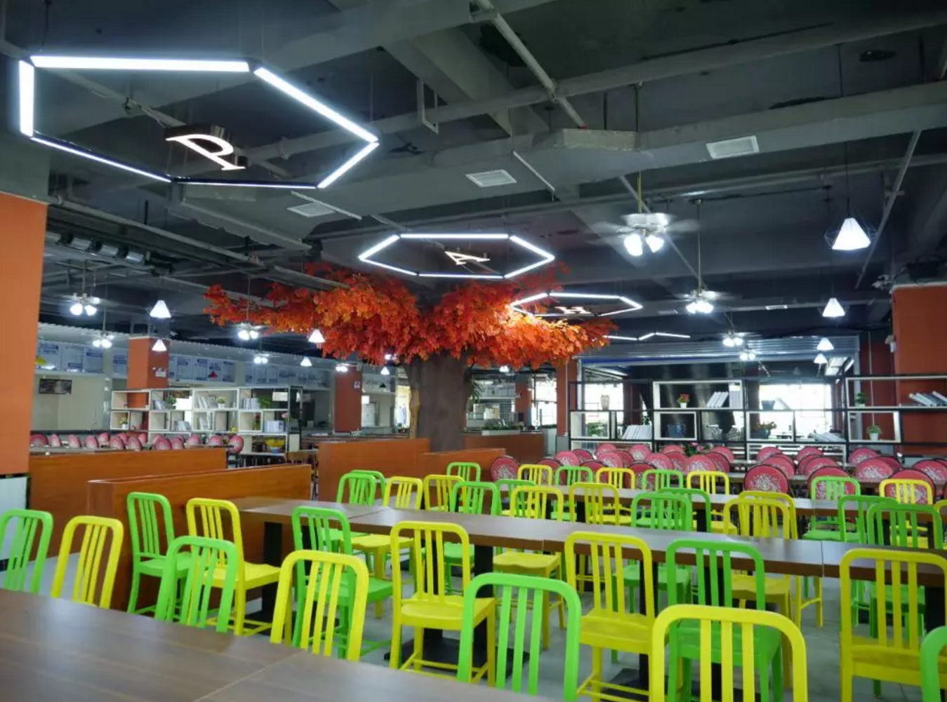 澳港宝典免费资料大全